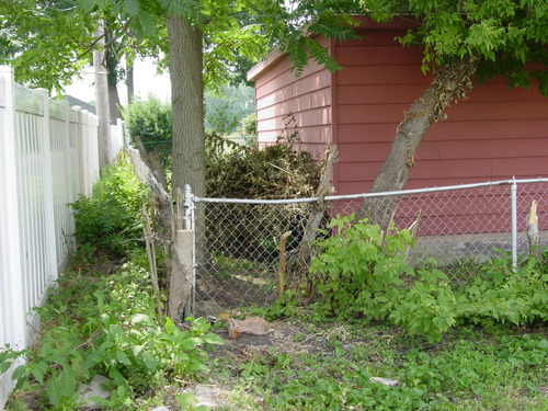 ./Gallery/2011 Bennet Lot Tree Removal/DSC06475.JPG